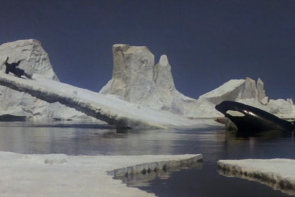 orca_-the-killer-whale-screenshot